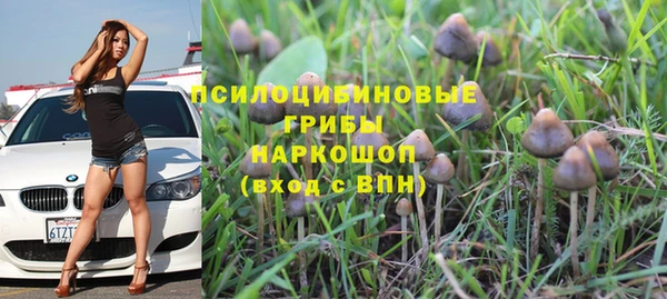 гидра Абинск