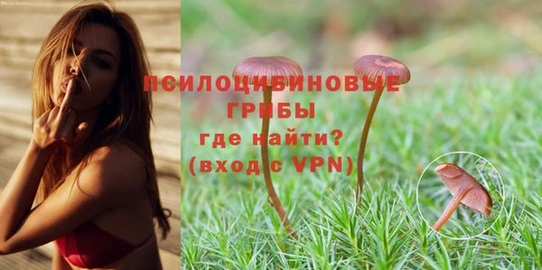 бутират Алзамай